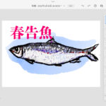 春告げ魚・ニシンは御殿を作りました。