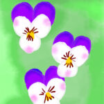 アイパッドで絵を描く、春になったら・ビオラの花言葉は「誠実」